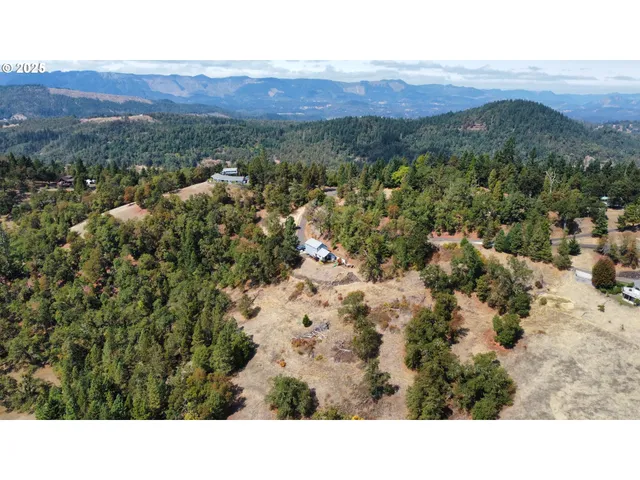 a black and white photo of a forest