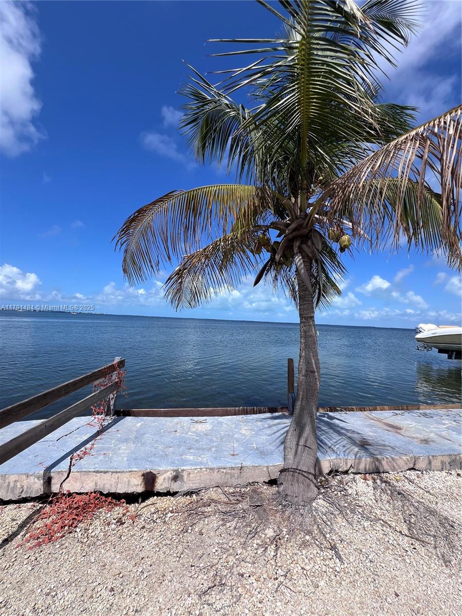 325 Calusa Street, Unit 5 Key Largo, FL 33037 - Photo 11 of 21 a view of a backyard