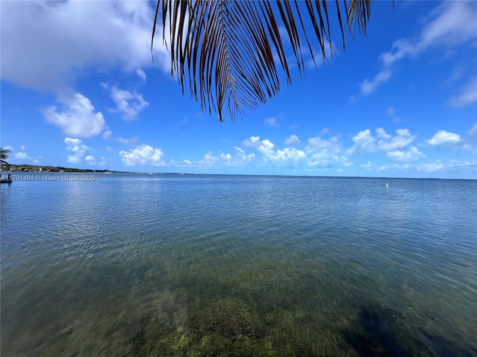 325 Calusa Street, Unit 5 Key Largo, FL 33037 - Photo 12 of 21 a view of a lake