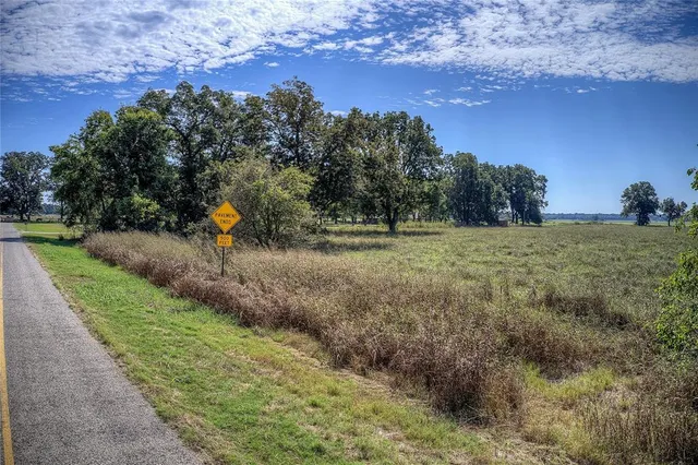 a view of outdoor space with trees all around