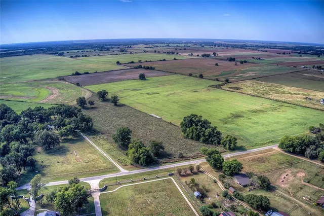 an aerial view of ocean with trees