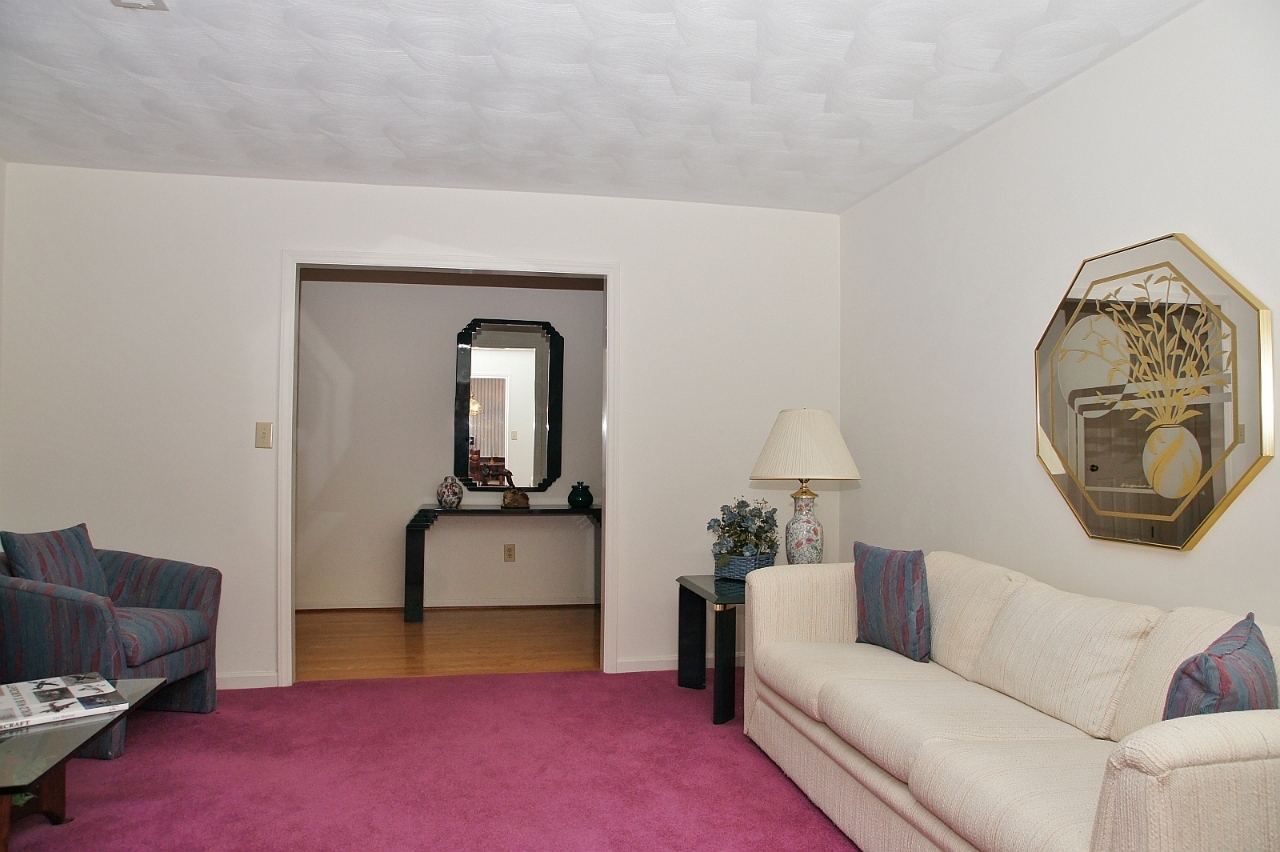 5213 Britaney Road Roanoke, VA 24012 - Photo 3 of 22 DSC00682