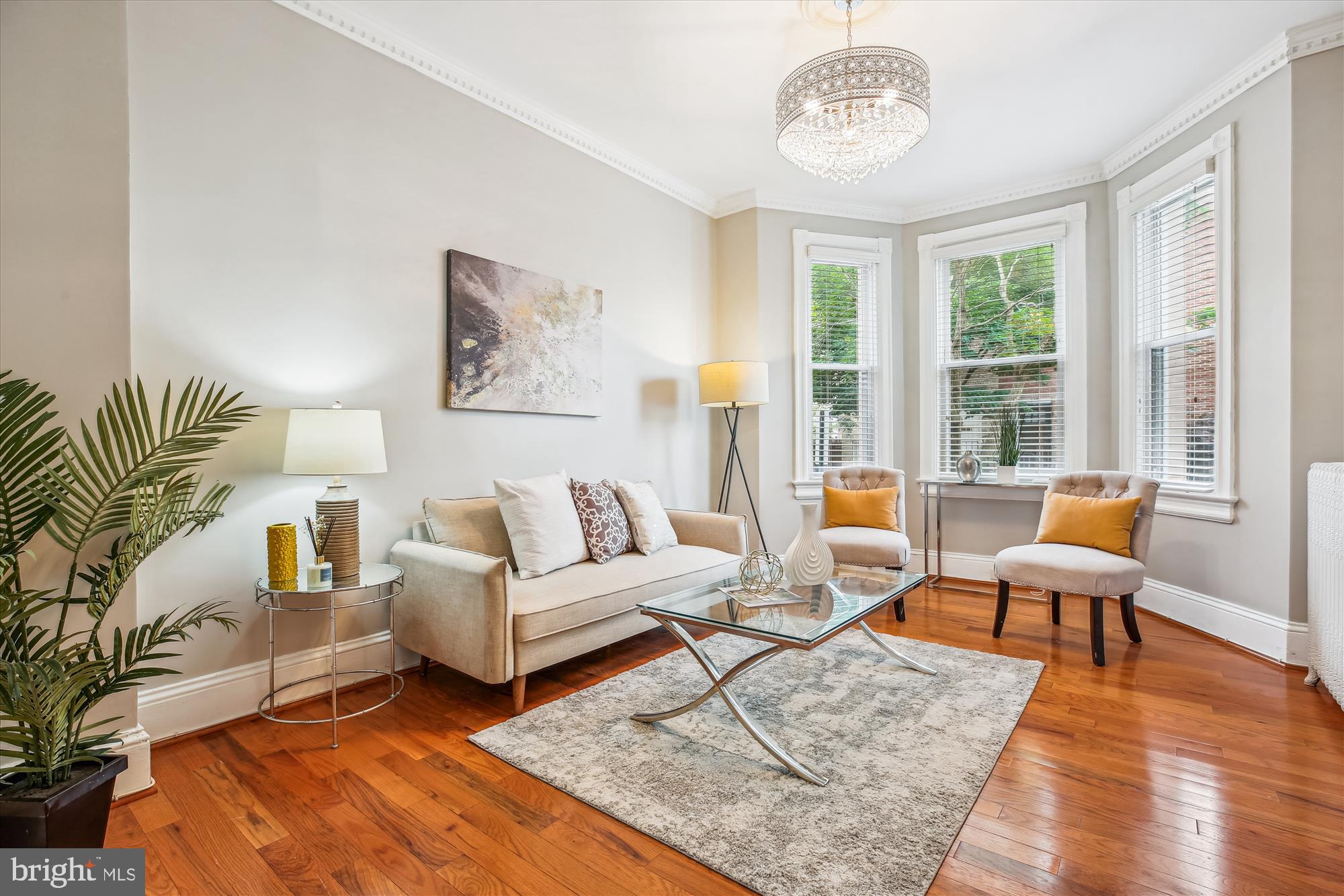 609 Elliott Street Northeast Washington, DC 20002 - Photo 6 of 51 Gallery Image 6