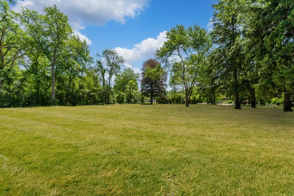 a view of green field