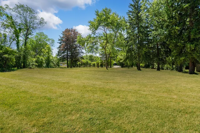 a view of a green field with trees in the background