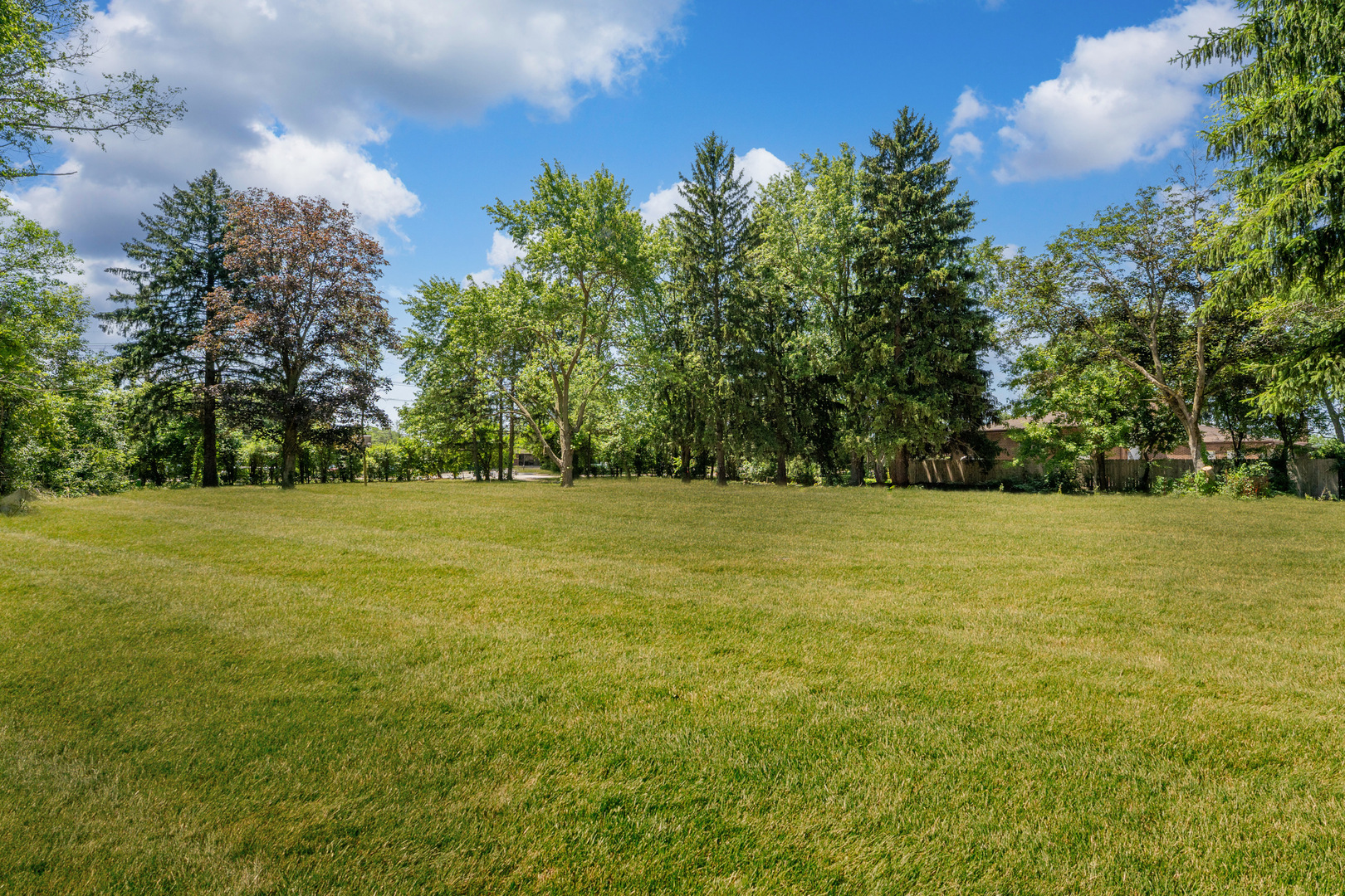 3680 Deerfield Road Riverwoods, IL 60015 - Photo 6 of 12 a view of yard with green space