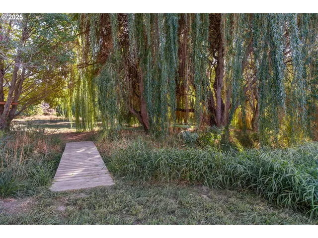 a view of outdoor space and yard