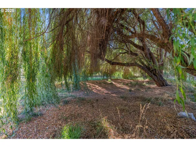 a view of outdoor space and garden