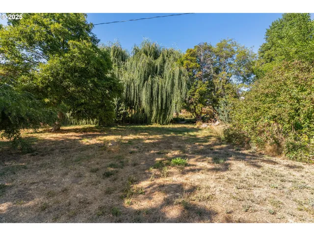 a view of a yard in front of a house