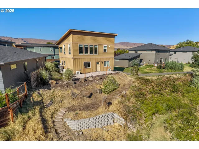 a view of a forest with a tree