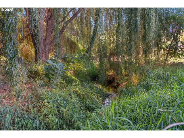 a view of lake and mountain