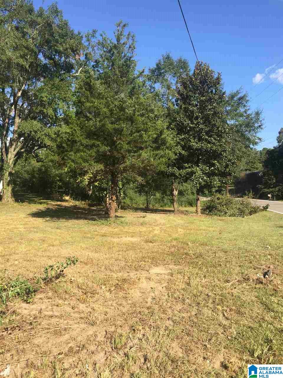 411 Fulton Springs Road Alabaster, AL 35007 - Photo 11 of 23