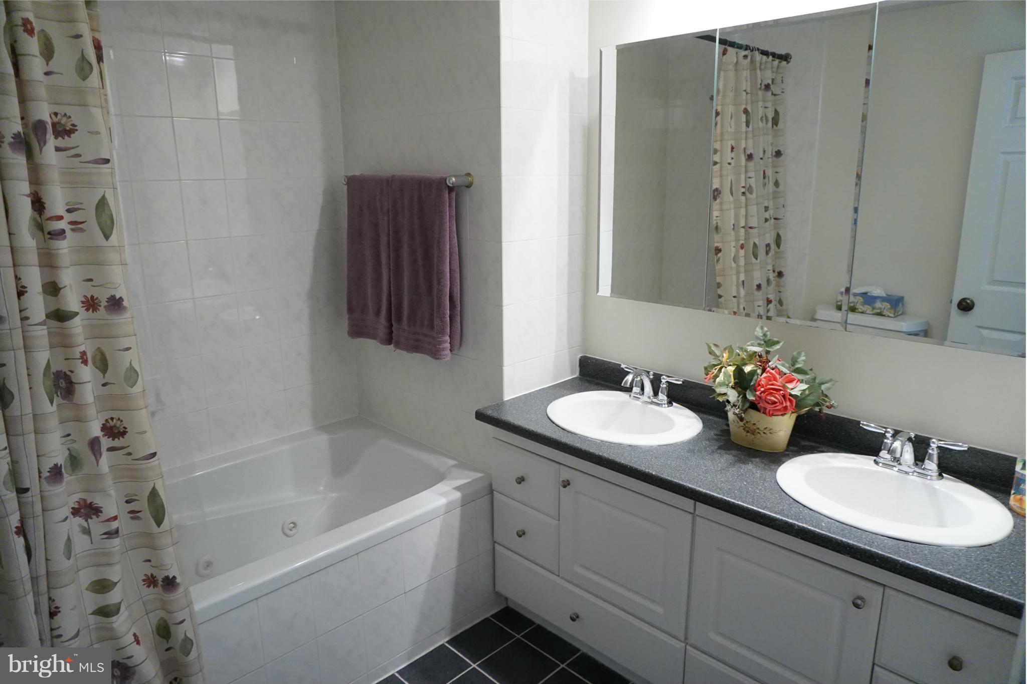 338 Brunswick Place Riva, MD 21140 - Photo 7 of 29 Bath (Master)
