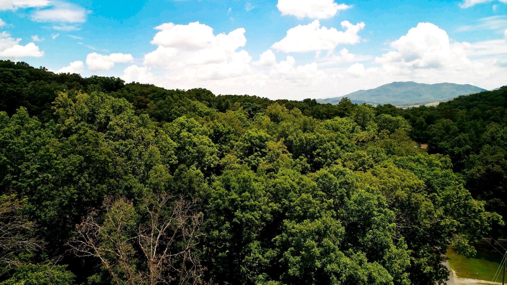 Lot 18 Sierra Road Newport, TN 37821 - Photo 2 of 20 DJI_0002