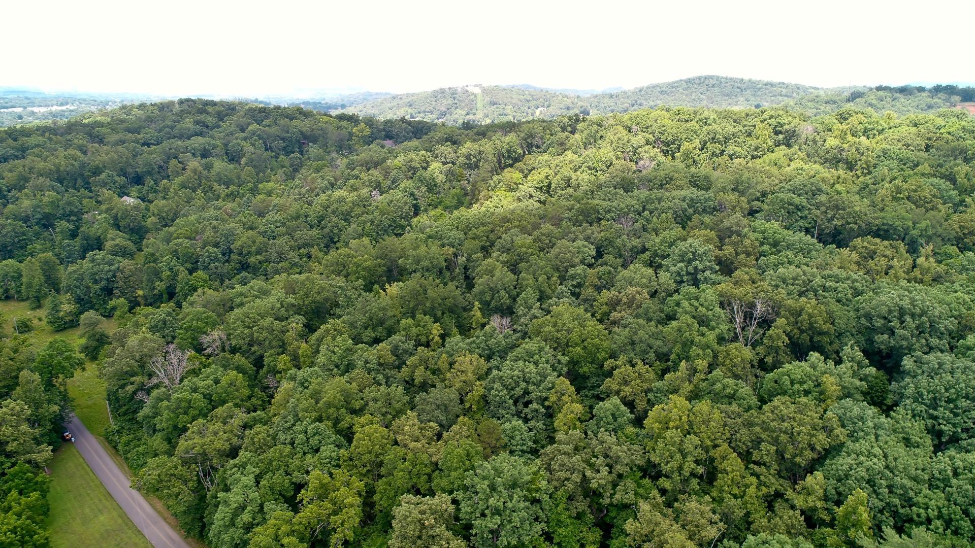 Lot 18 Sierra Road Newport, TN 37821 - Photo 13 of 20 DJI_0009