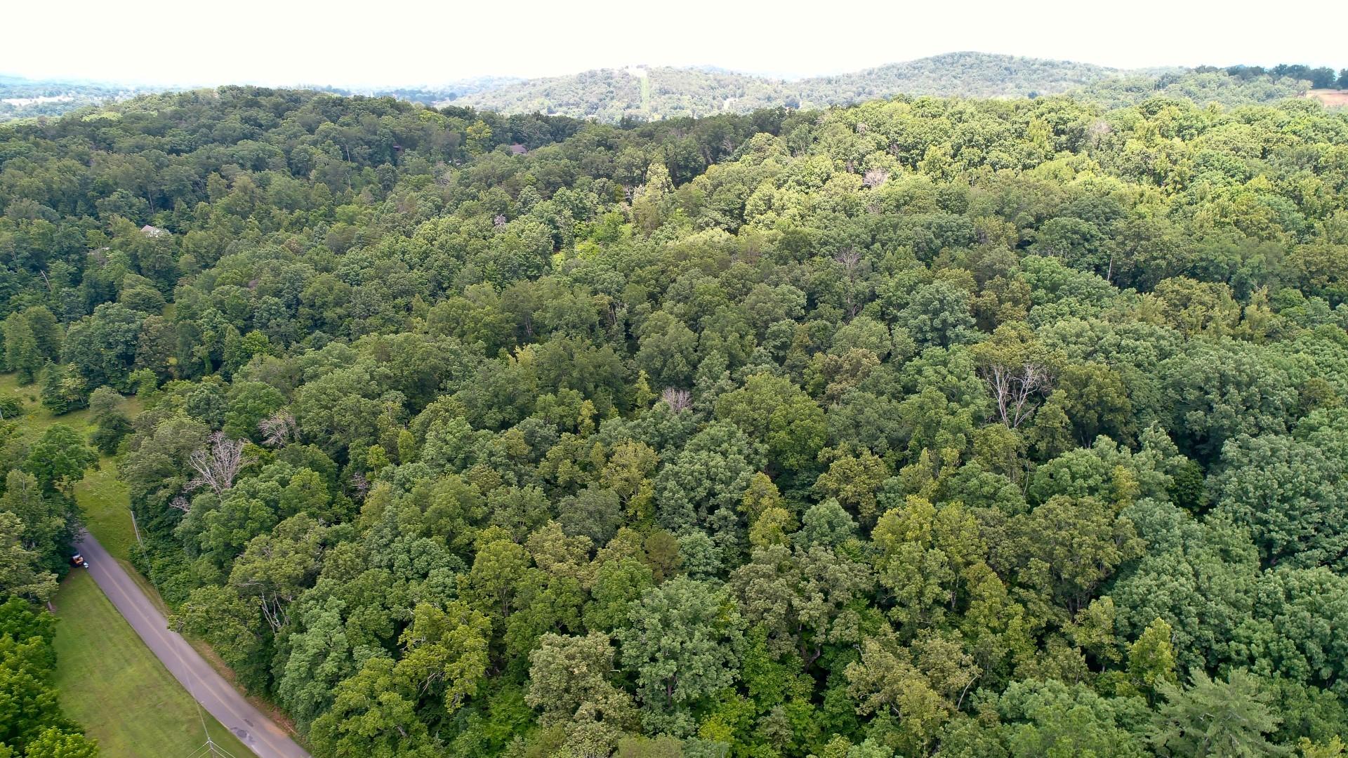 Lot 18 Sierra Road Newport, TN 37821 - Photo 14 of 20 DJI_0010
