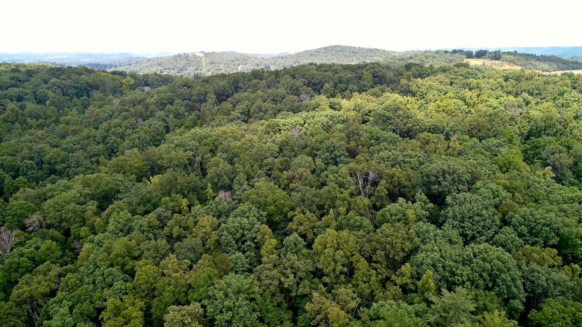 Lot 18 Sierra Road Newport, TN 37821 - Photo 15 of 20 DJI_0011