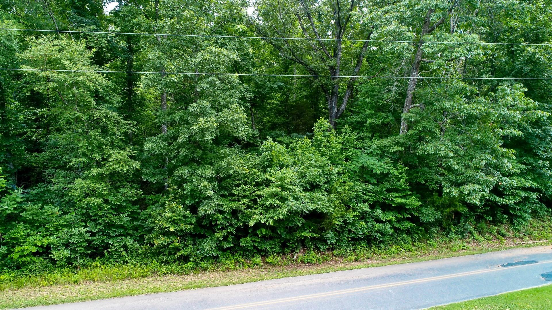 Lot 18 Sierra Road Newport, TN 37821 - Photo 16 of 20 DJI_0012