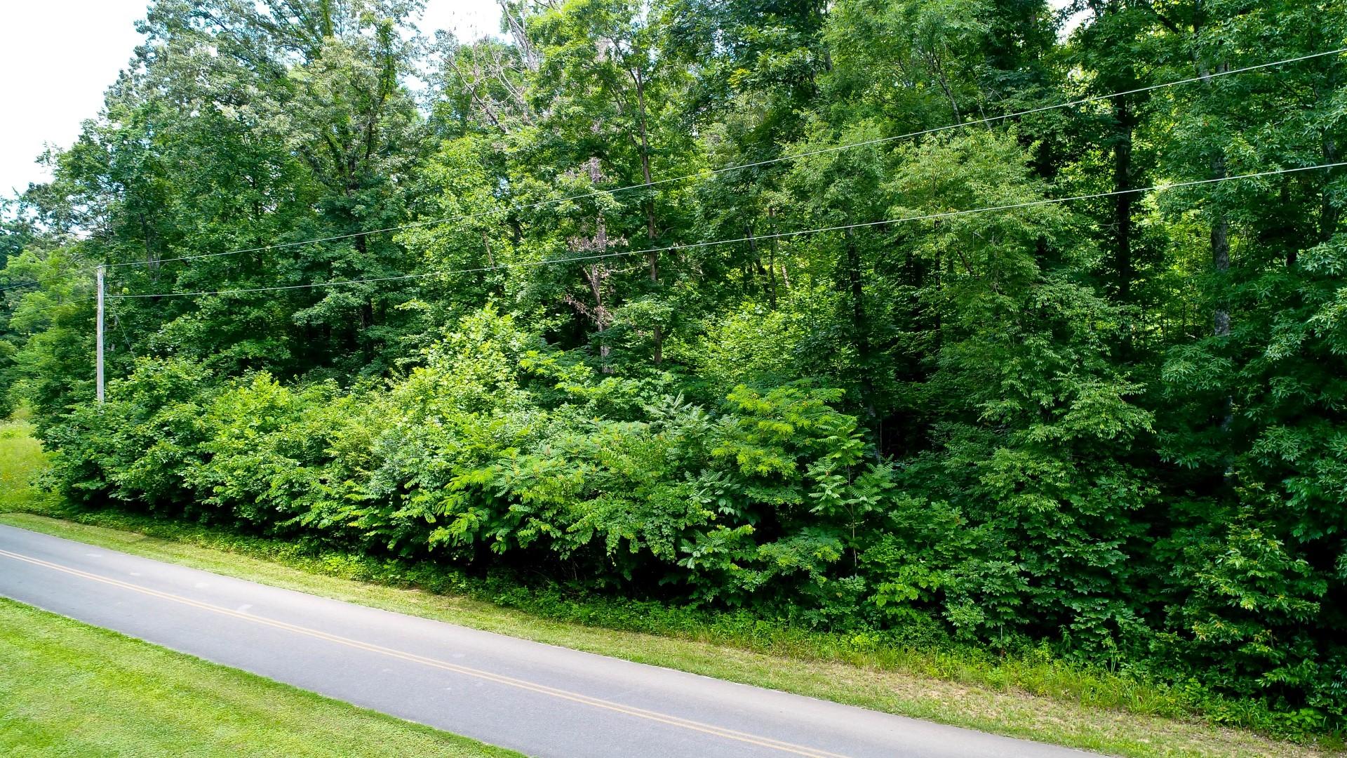Lot 18 Sierra Road Newport, TN 37821 - Photo 17 of 20 DJI_0013