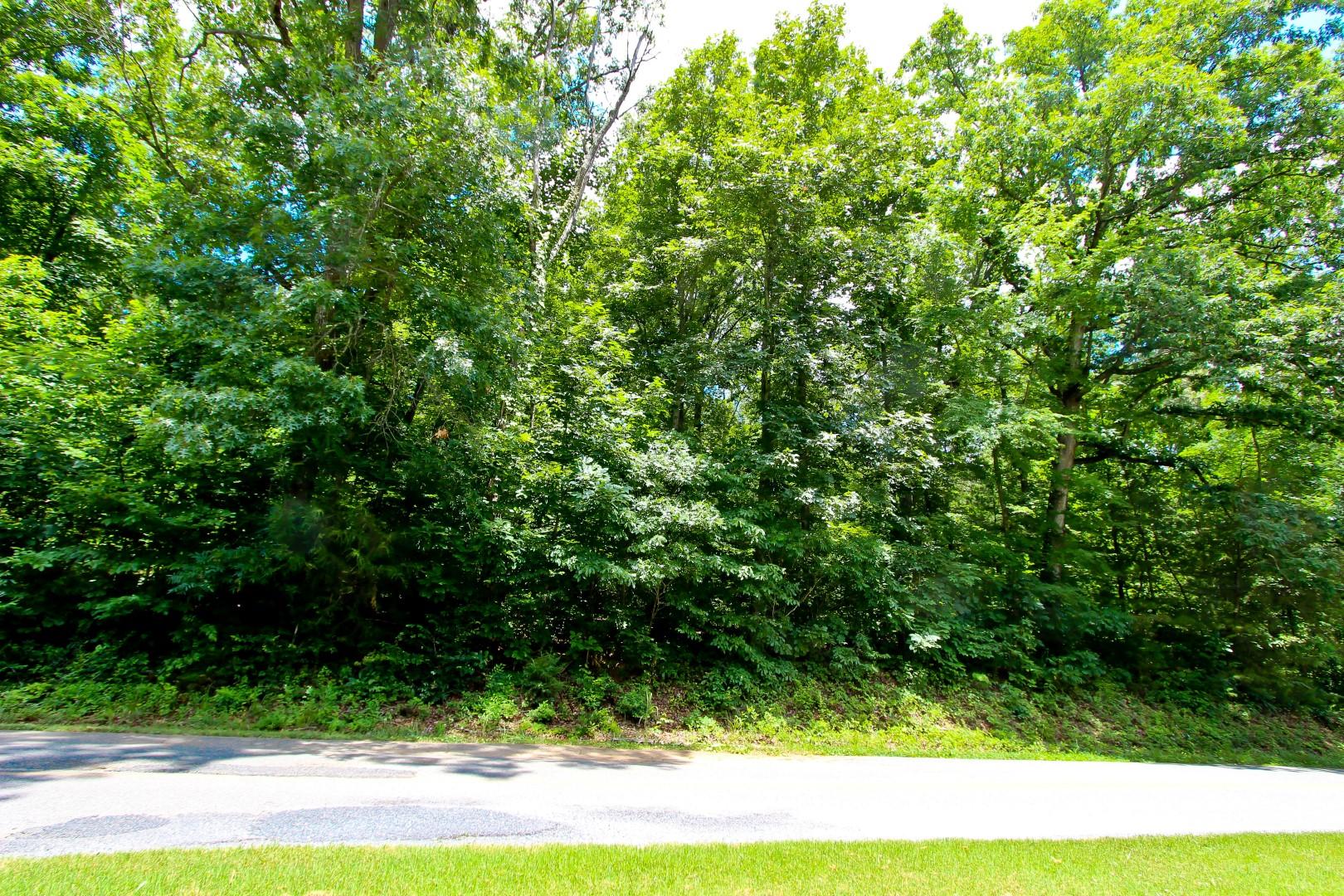 Lot 18 Sierra Road Newport, TN 37821 - Photo 18 of 20 IMG_0061