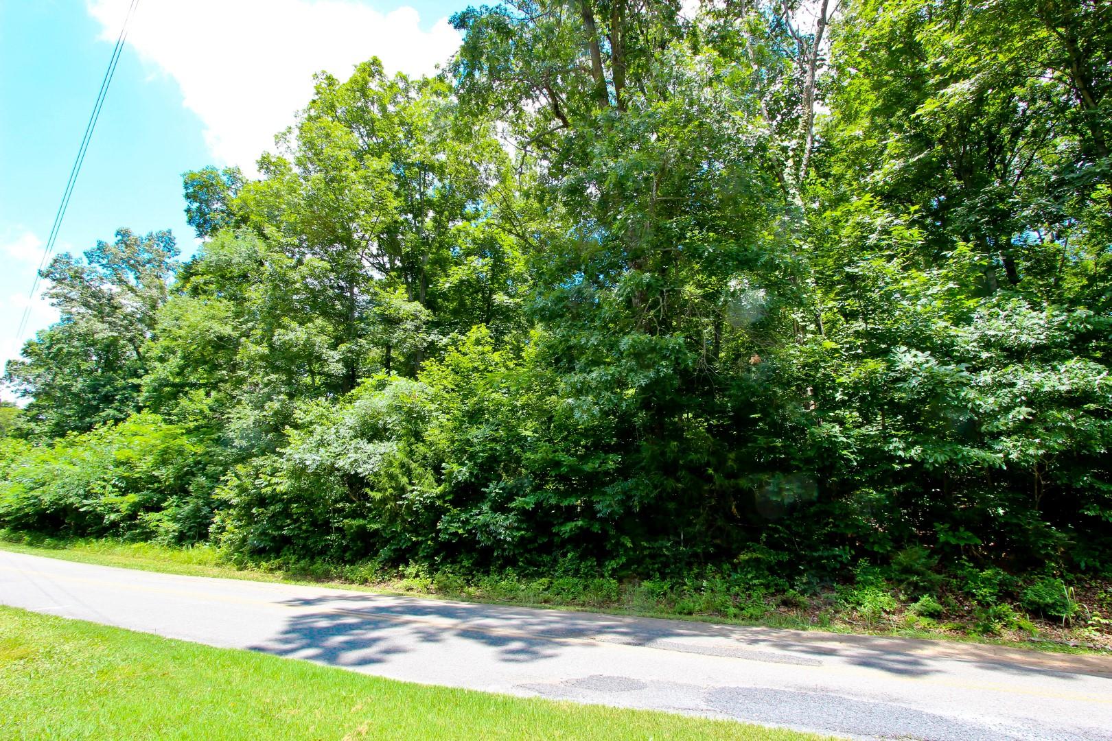 Lot 18 Sierra Road Newport, TN 37821 - Photo 19 of 20 IMG_0062