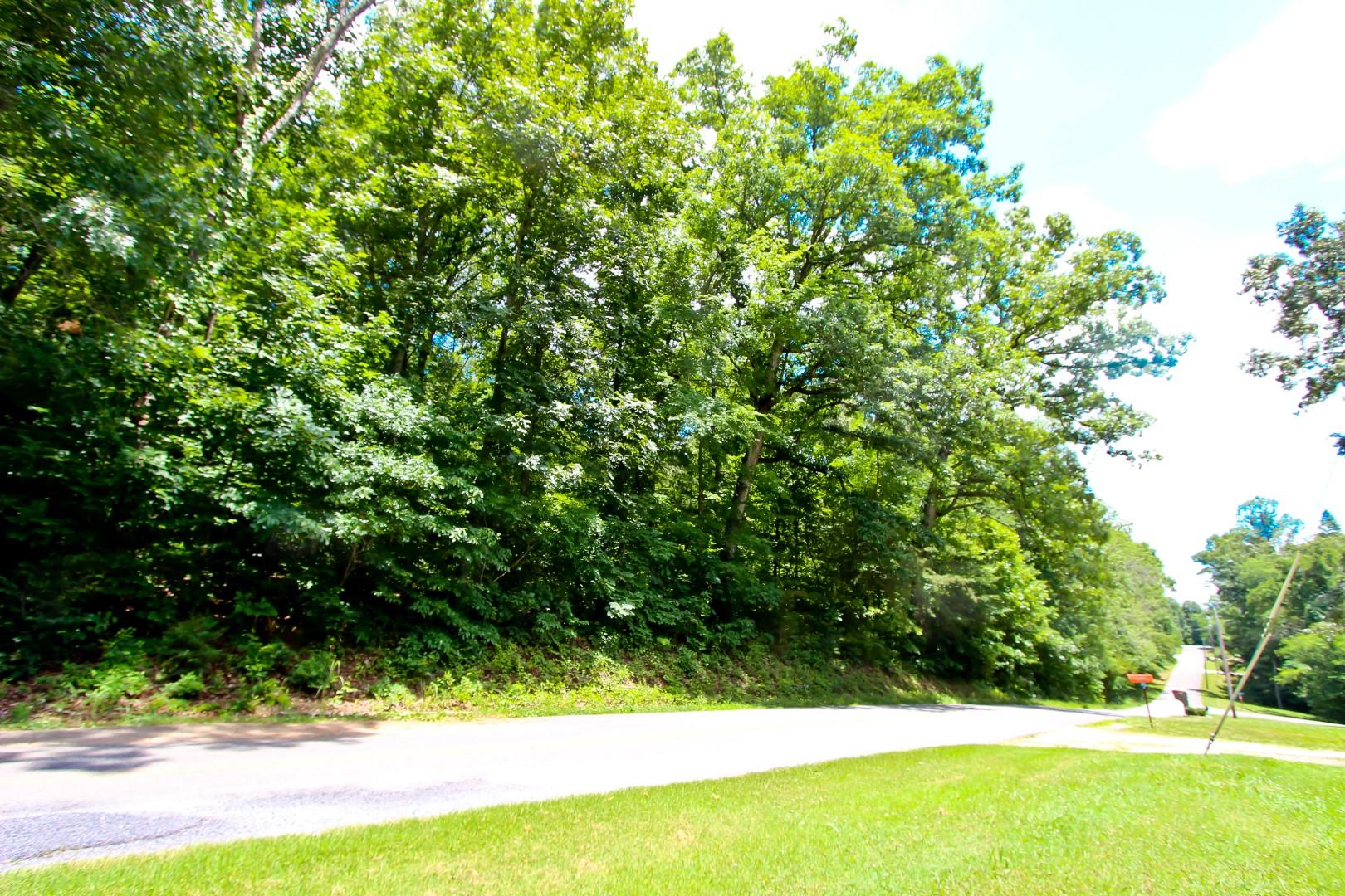 Lot 18 Sierra Road Newport, TN 37821 - Photo 20 of 20 IMG_0064