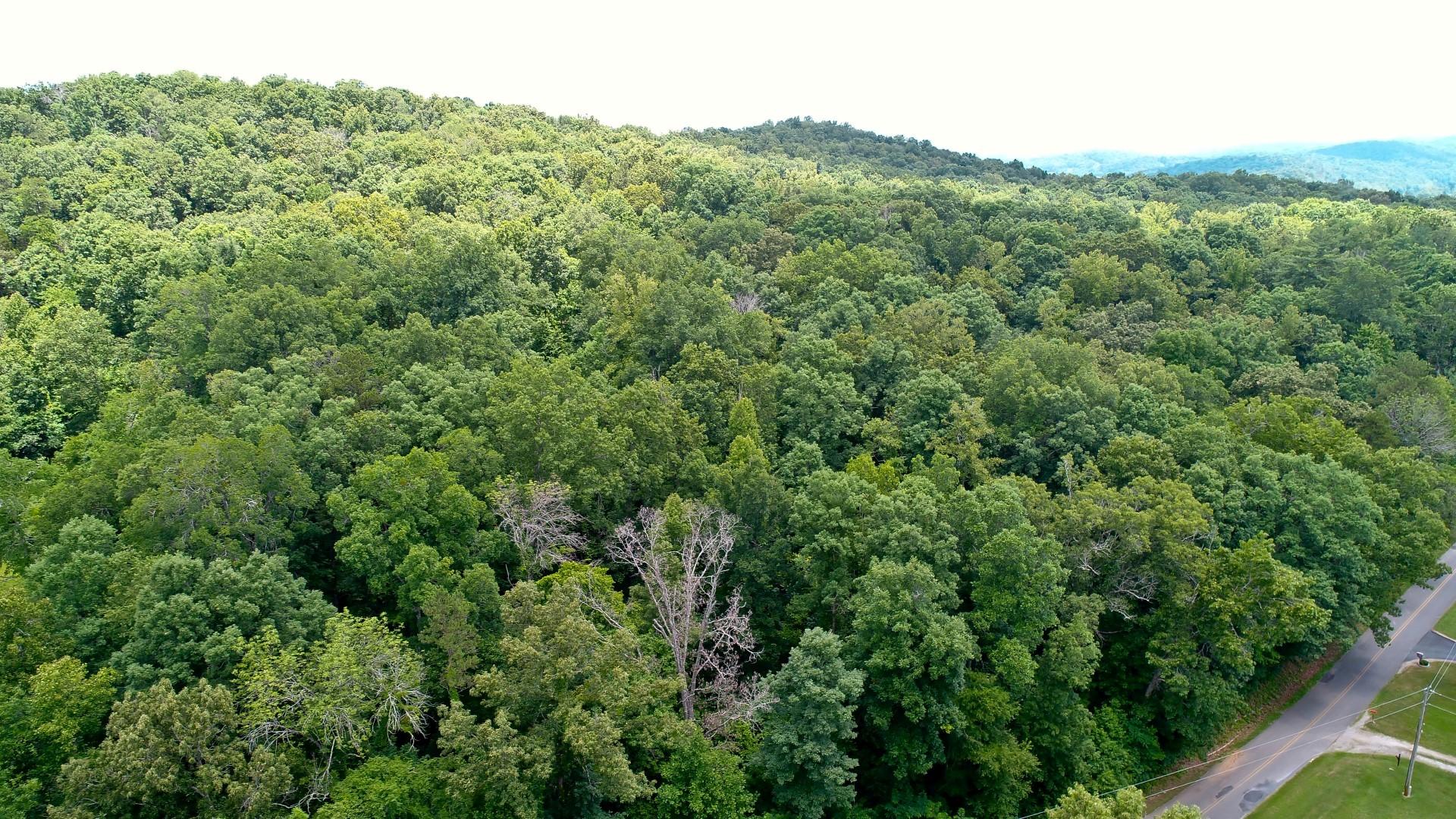 Lot 18 Sierra Road Newport, TN 37821 - Photo 5 of 20 DJI_0003