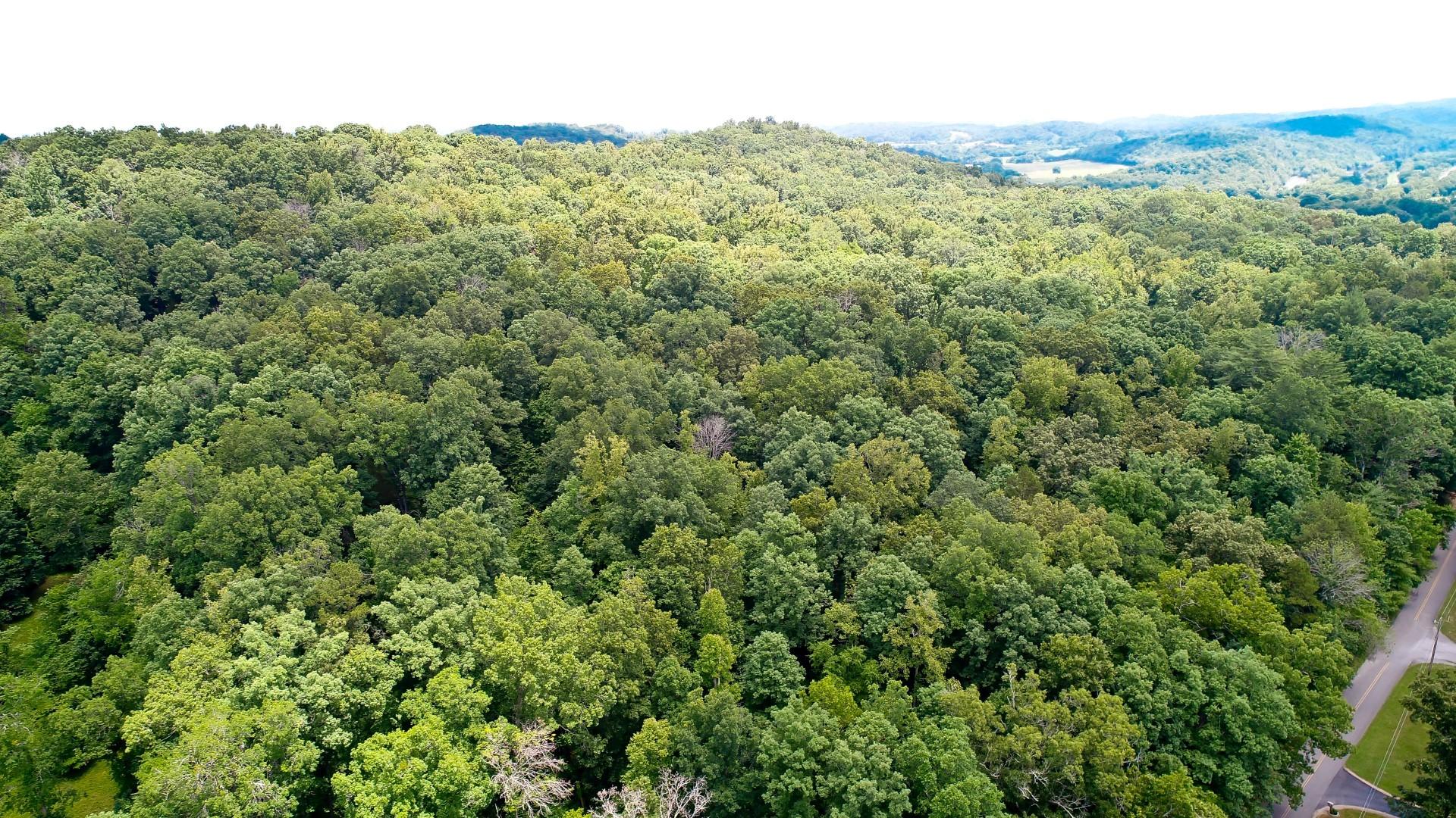 Lot 18 Sierra Road Newport, TN 37821 - Photo 7 of 20 DJI_0005