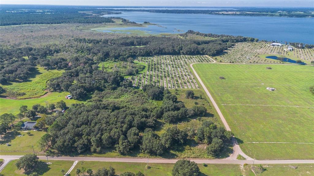 Yale Hammock Road Umatilla, FL 32784 - Photo 11 of 20 a view of a yard with an outdoor space
