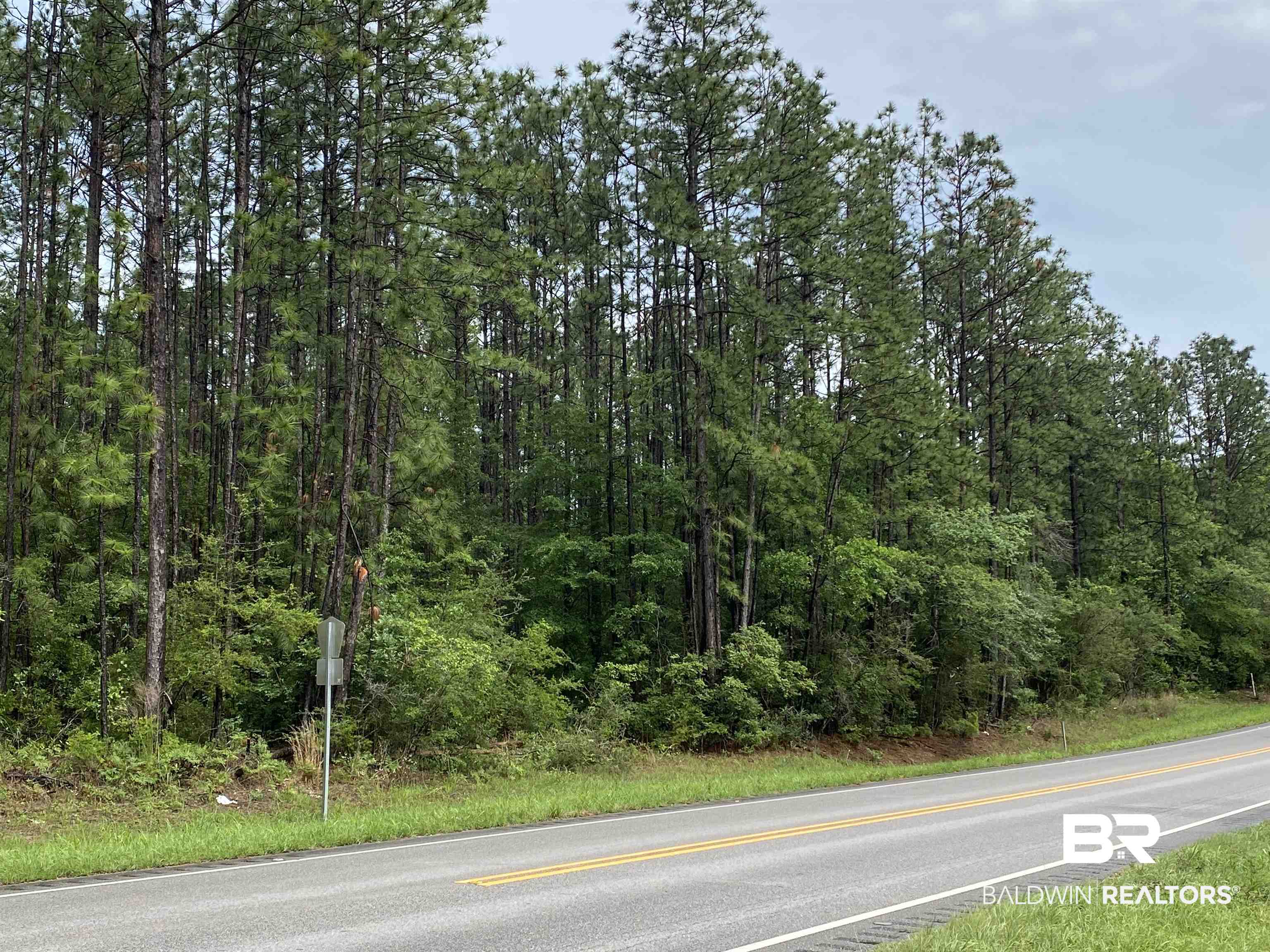 44426 Highway 31 Brewton, AL 36426 - Photo 2 of 2