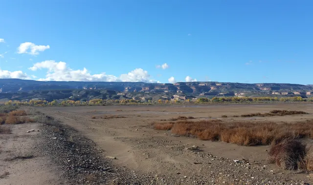 $4,000,000 | 1165 15 Road, Loma, CO 81524