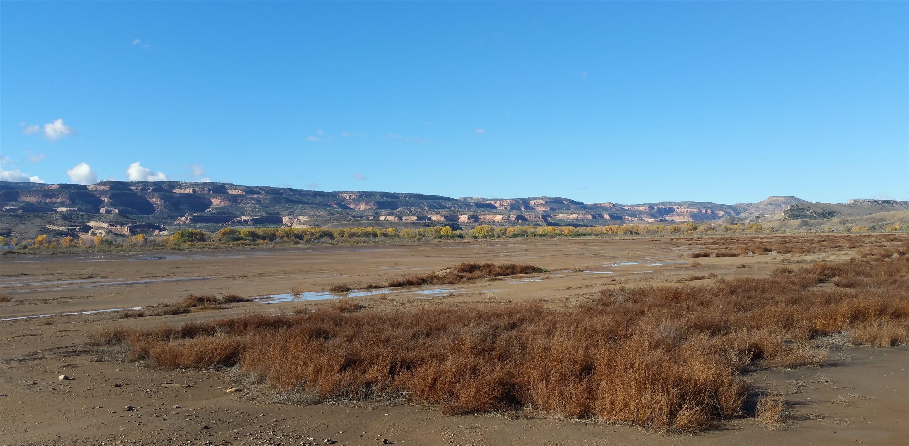 1165 15 Road Loma, CO 81524 - Photo 2 of 11