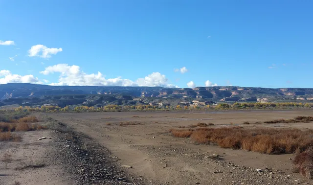 $4,000,000 | 1165 15 Road, Loma, CO 81524