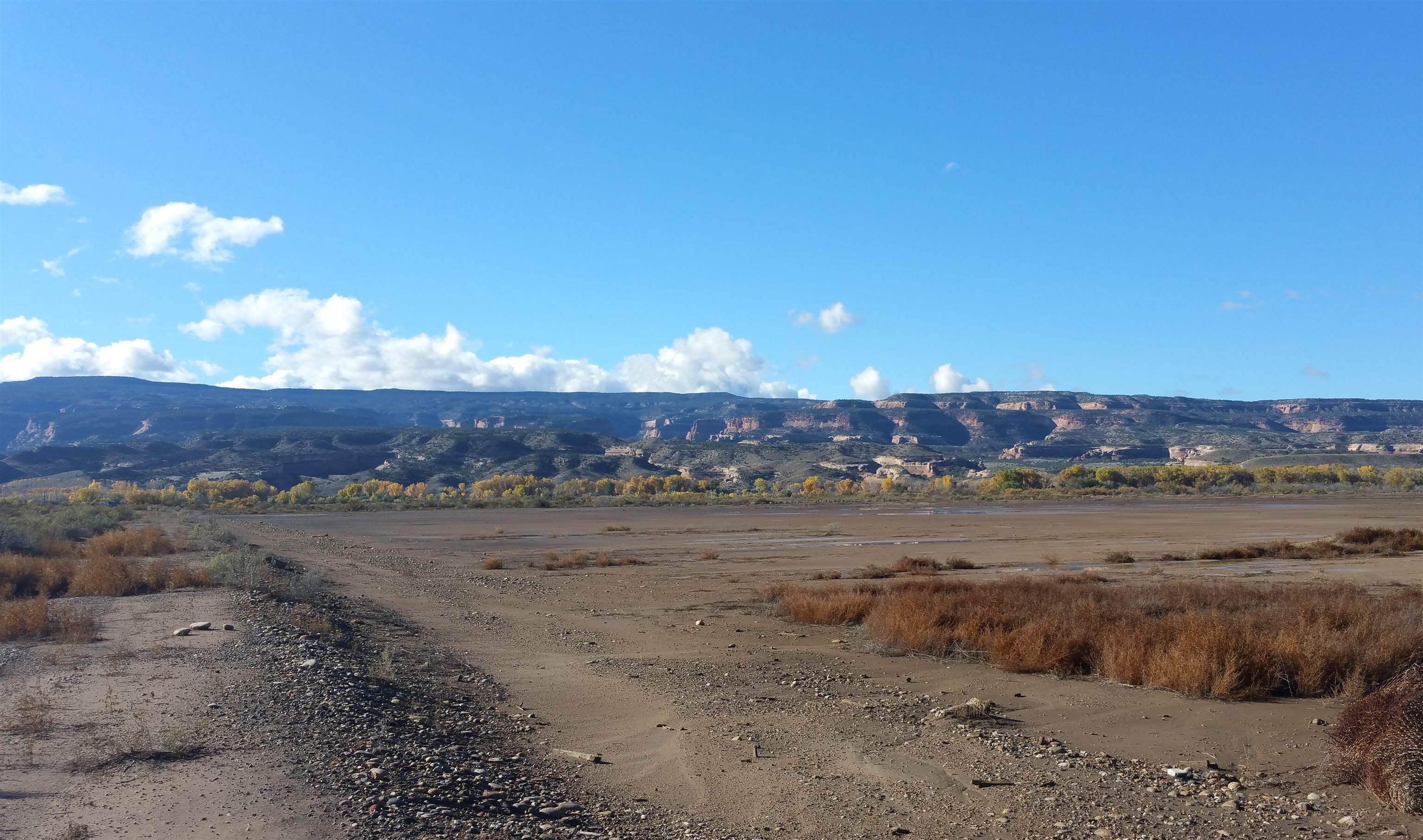 1165 15 Road Loma, CO 81524 - Photo 3 of 11