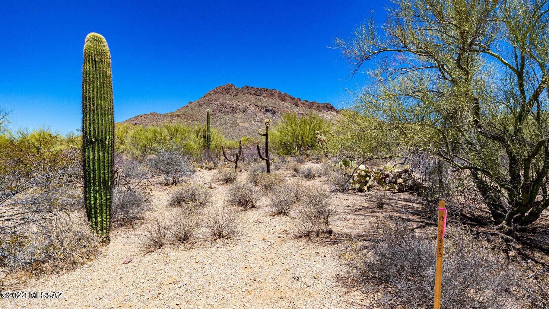 2621 South Kinney Road Tucson, AZ 85713 - Photo 5 of 12