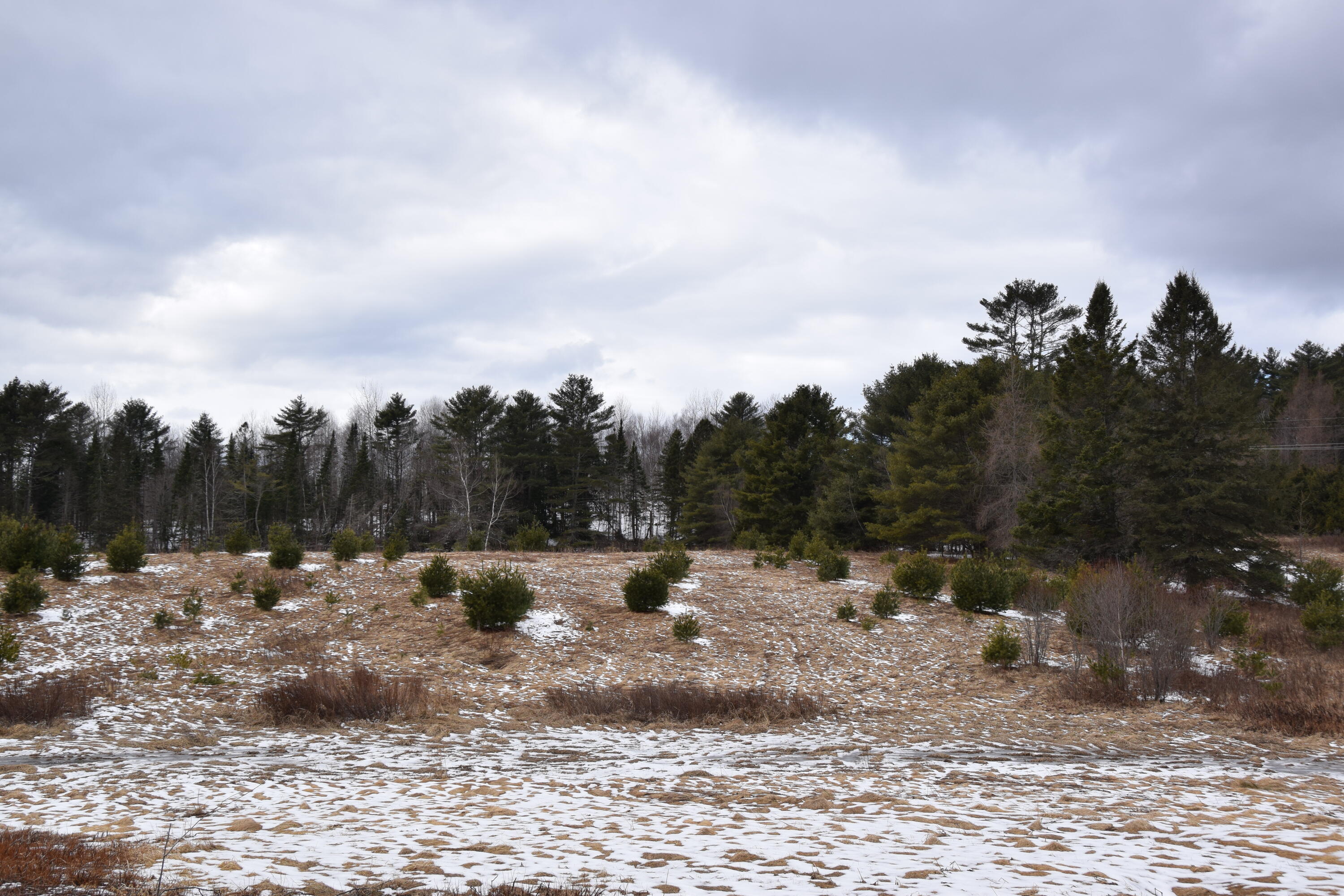 L26-3-1 Kennebec River Road Embden, ME 04958 - Photo 2 of 28 DSC_0016