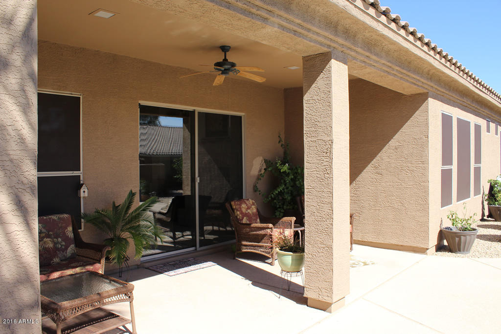 4379 East Briles Road Phoenix, AZ 85050 - Photo 20 of 29 brilesoutside10