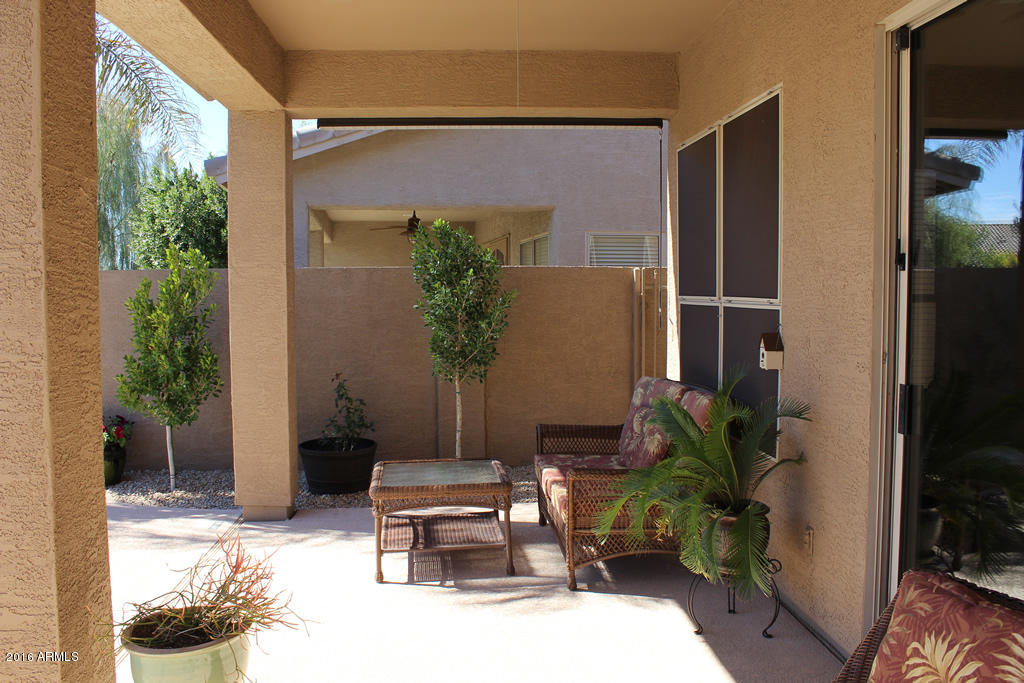 4379 East Briles Road Phoenix, AZ 85050 - Photo 21 of 29 brilesoutside15