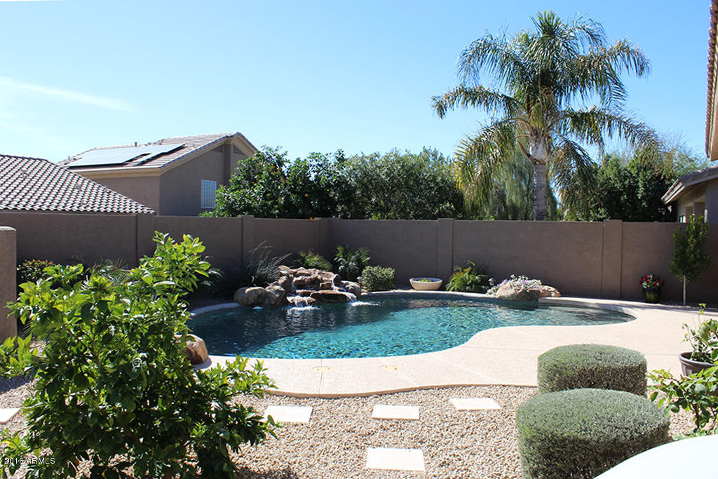 4379 East Briles Road Phoenix, AZ 85050 - Photo 26 of 29 brilesoutside17
