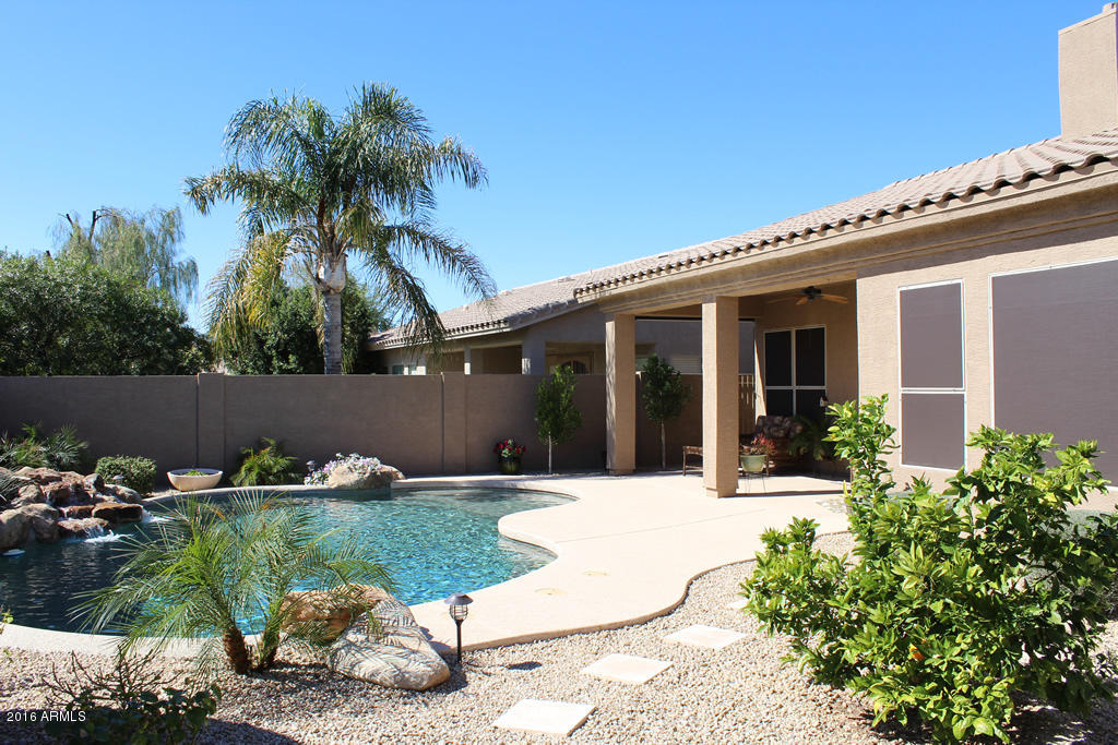 4379 East Briles Road Phoenix, AZ 85050 - Photo 27 of 29 brilesoutside18