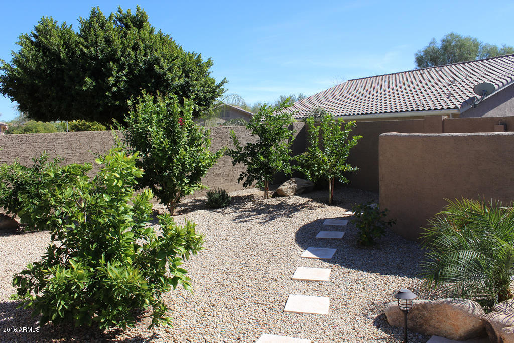 4379 East Briles Road Phoenix, AZ 85050 - Photo 29 of 29 brilesoutside2