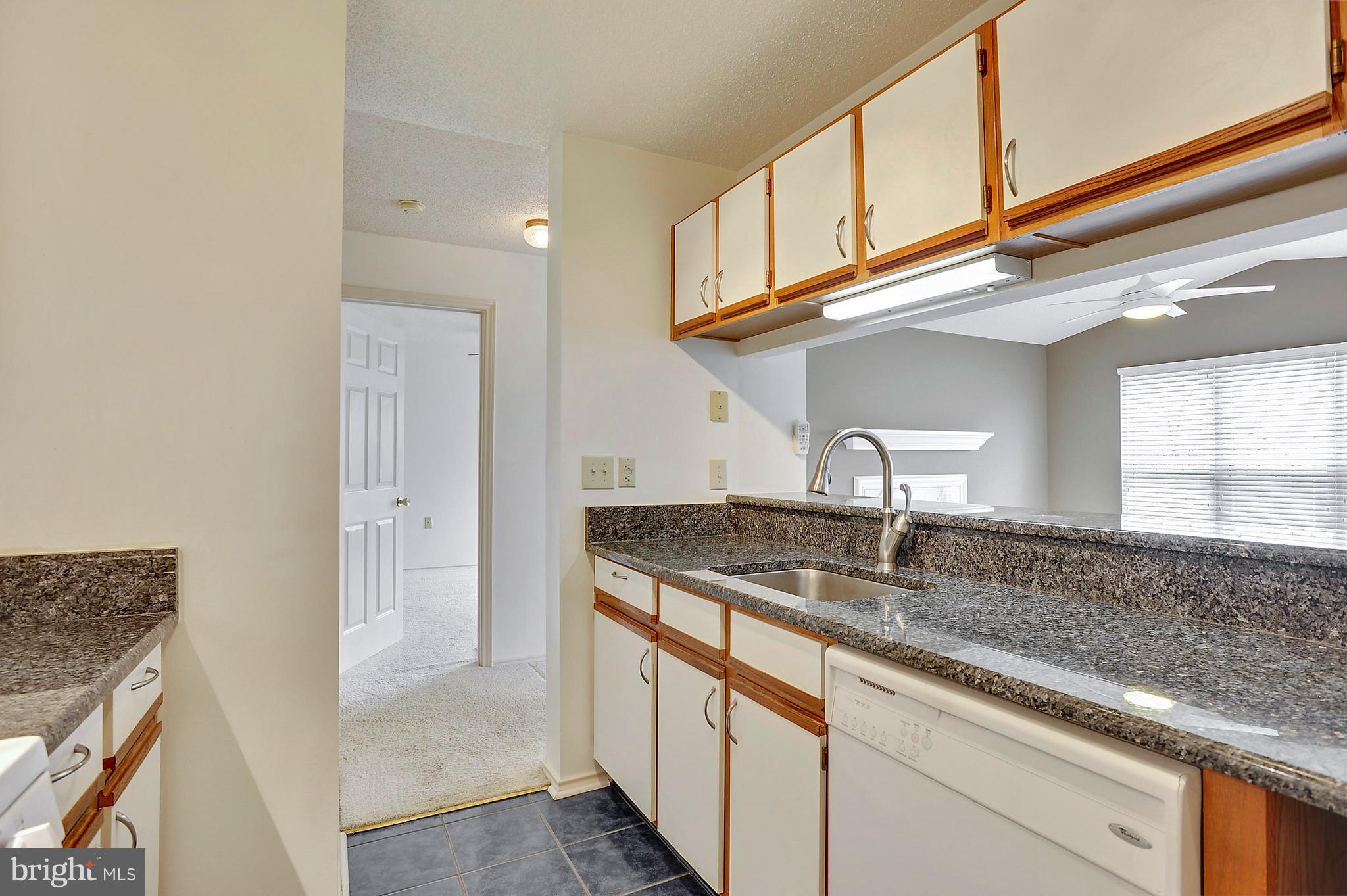 20958 Timber Ridge Terrace, Unit 303 Ashburn, VA 20147 - Photo 3 of 23 Kitchen