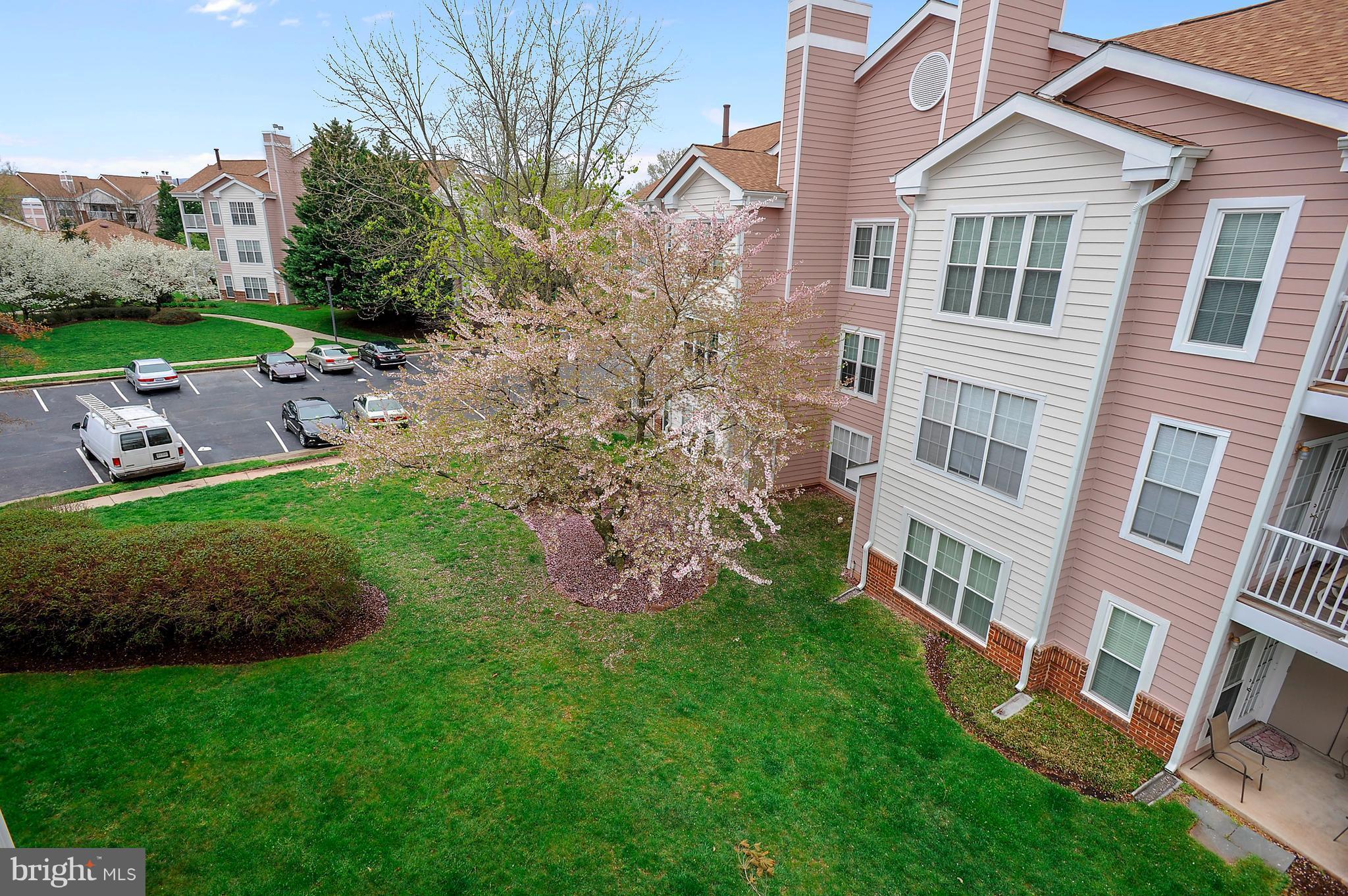 20958 Timber Ridge Terrace, Unit 303 Ashburn, VA 20147 - Photo 23 of 23 Exterior (General)