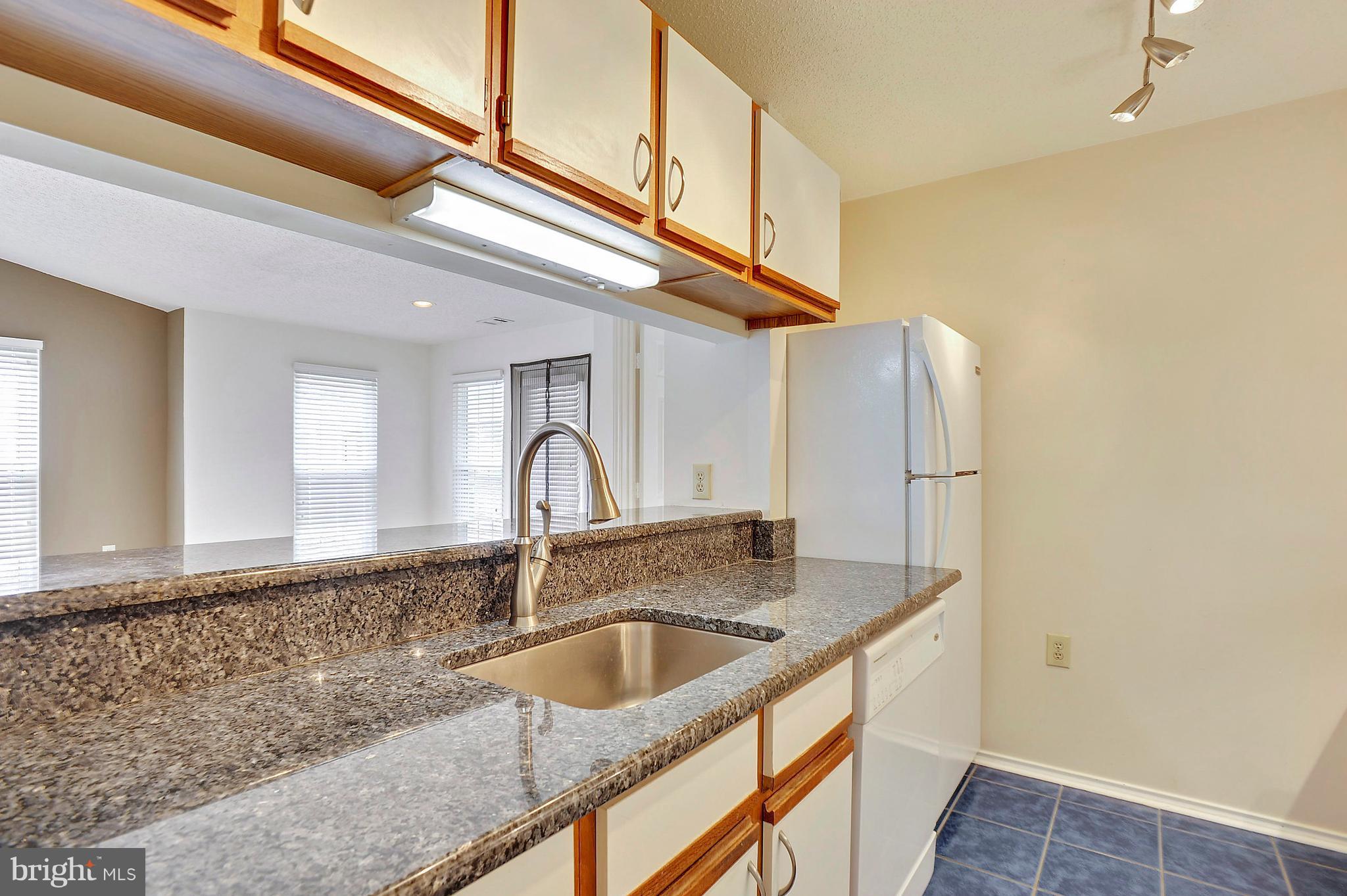 20958 Timber Ridge Terrace, Unit 303 Ashburn, VA 20147 - Photo 4 of 23 Kitchen