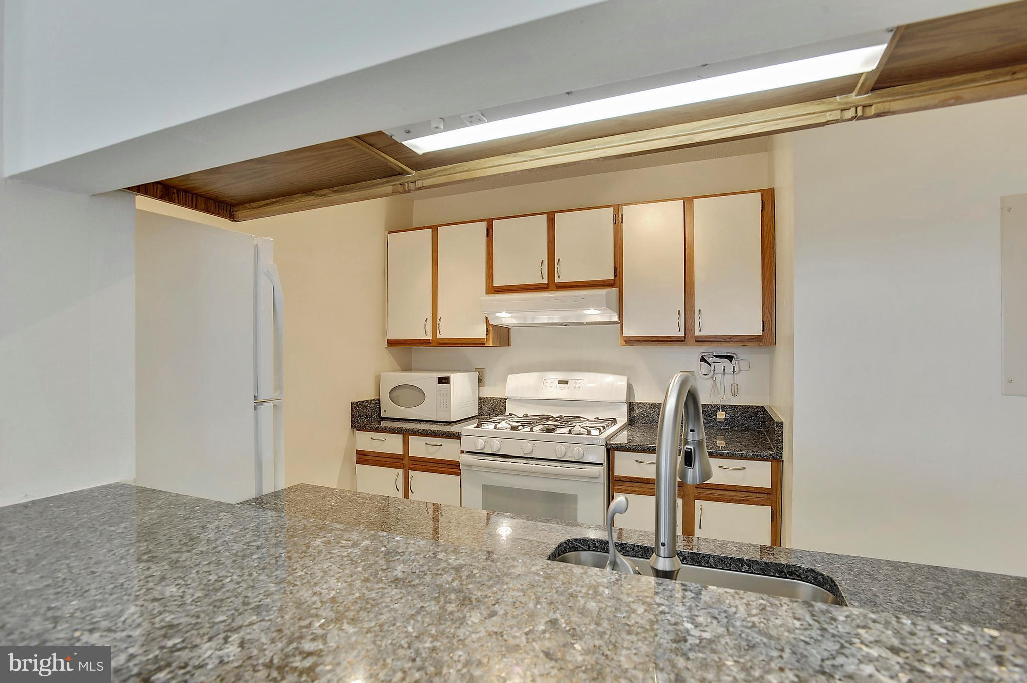 20958 Timber Ridge Terrace, Unit 303 Ashburn, VA 20147 - Photo 5 of 23 Kitchen
