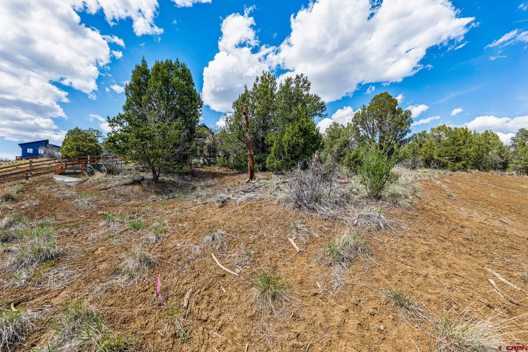 7 Salt Brush Street Durango, CO 81301 - Photo 13 of 18 a view of a tree with a yard