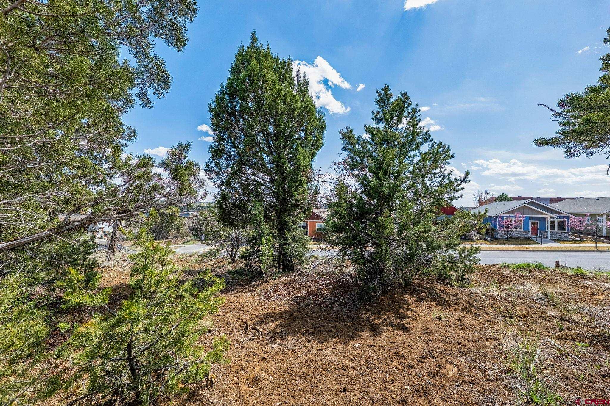 7 Salt Brush Street Durango, CO 81301 - Photo 9 of 18 a view of a big yard with plants and large trees