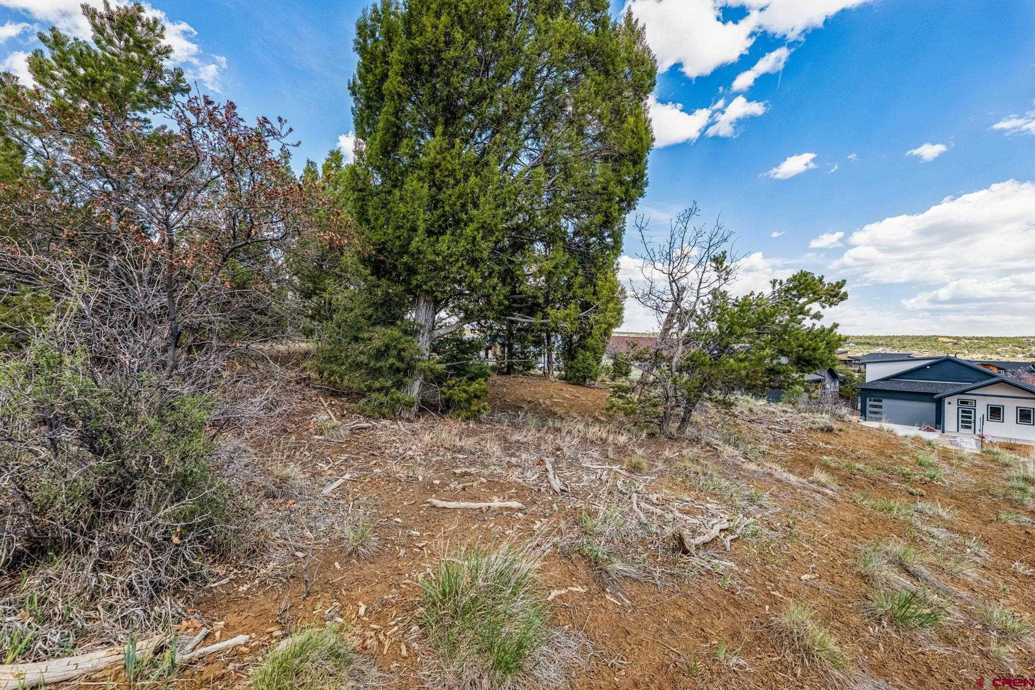7 Salt Brush Street Durango, CO 81301 - Photo 10 of 18 a view of a house with a yard