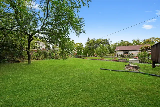 a view of a park with large trees