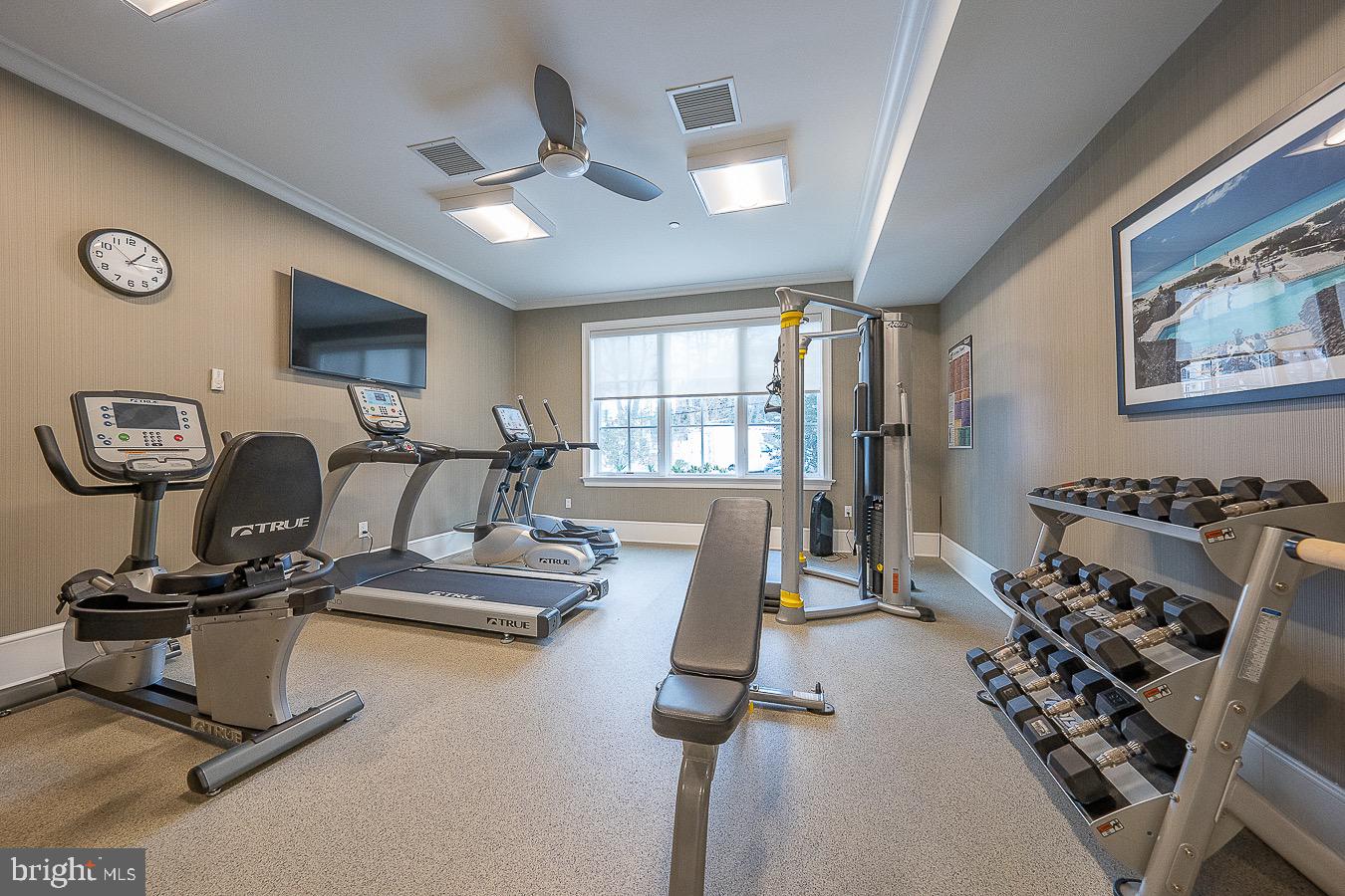 100 St Georges Road, Unit A3 Ardmore, PA 19003 - Photo 37 of 43 a view of a room with gym equipment